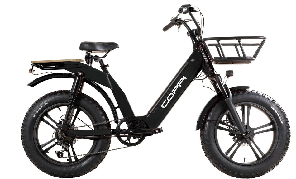 Lipari Cargo 20" Bike