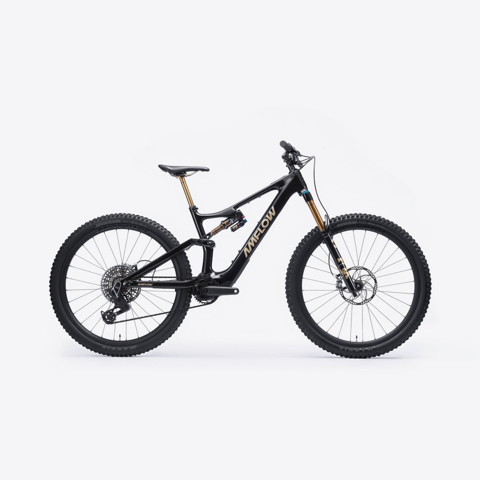 Amflow PL Carbon Pro (800Wh) - DEMO TEST - Taglia L - 513km